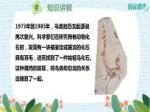 3.10用化石作證據(jù)（課件+練習）蘇教版科學六年級上冊