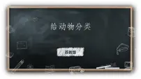 四年级上册1 给动物分类授课ppt课件