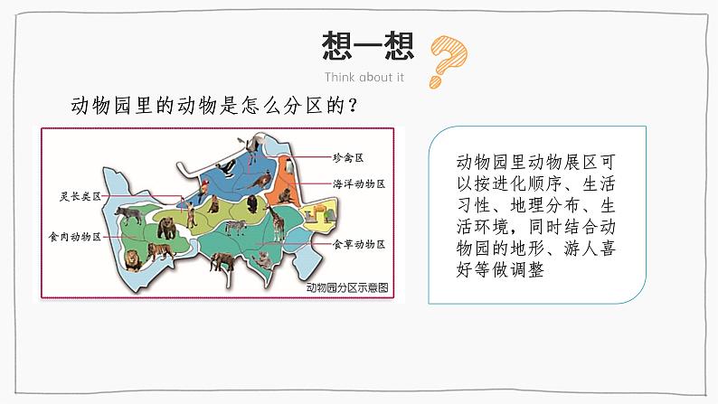 1.1给动物分类（课件+教案+课时练）苏教版科学四年级上册04