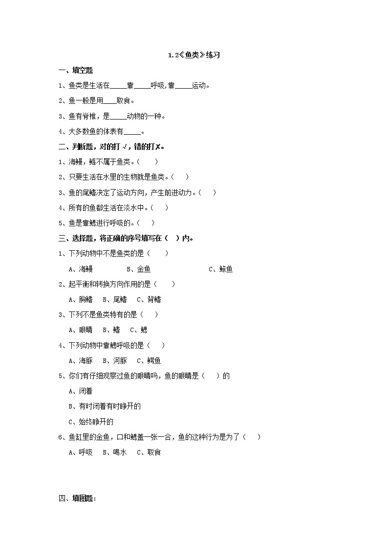 1.2鱼类（课件+教案+课时练）苏教版科学四年级上册01