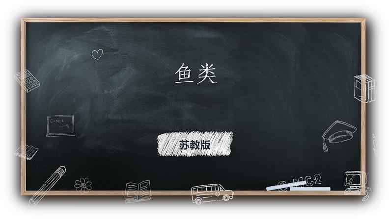 1.2鱼类（课件+教案+课时练）苏教版科学四年级上册01