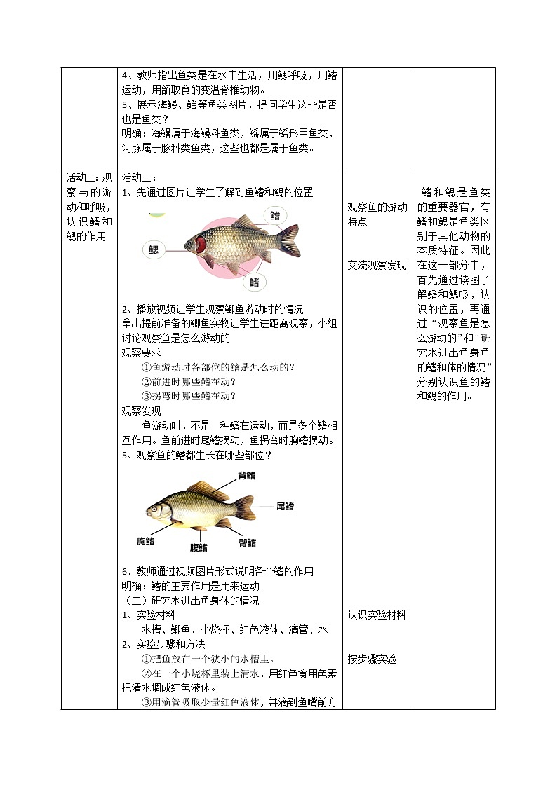 1.2鱼类（课件+教案+课时练）苏教版科学四年级上册02