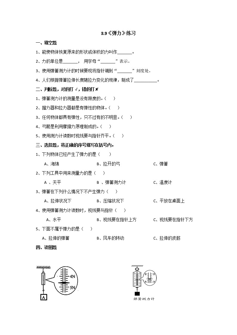3.9弹力（课件+教案+课时练）苏教版科学四年级上册01