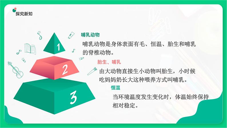 1.4哺乳动物（课件+教案+课时练）苏教版科学四年级上册08