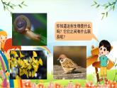 教科版小学科学六年级下册 第2课时  制作校园生物分布图 课件