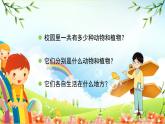 教科版小学科学六年级下册 第2课时  制作校园生物分布图 课件