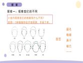 2.5 相貌各异的我们 教科版六年级下册课件＋教案（2023春新版）