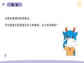 2.1 校园生物大搜索 教科版六年级下册课件＋教案（2023春新版）