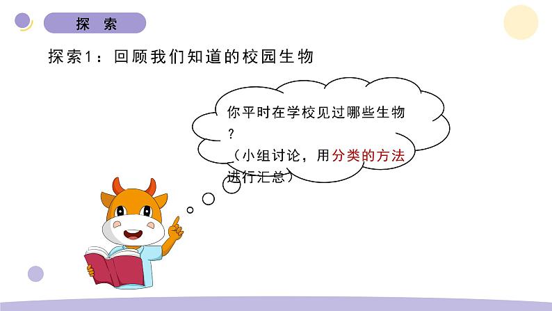 1.校园生物大搜索第4页