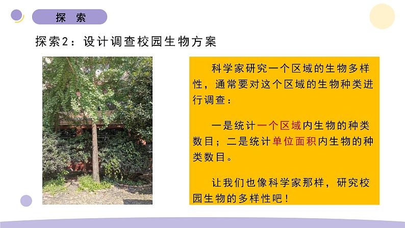 1.校园生物大搜索第7页