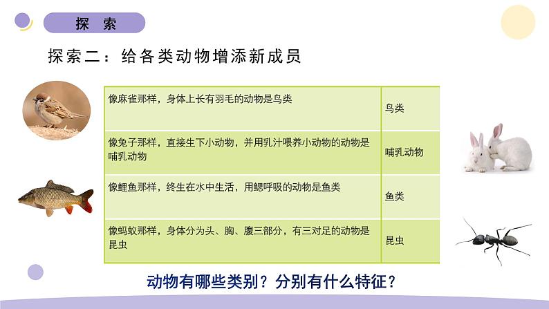 2.4 多种多样的动物 教科版六年级下册课件＋教案（2023春新版）06