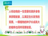 大象版五年级科学下册 4.3 植物的“食物” 课件
