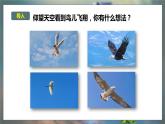 大象版五年级科学下册 5.2鸟和飞机 课件