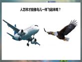 大象版五年级科学下册 5.2鸟和飞机 课件