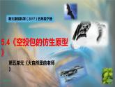 大象版五年级科学下册 5.3《空投包的仿生原型》课件