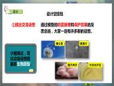 大象版五年级科学下册 5.5《我们的空投包》课件