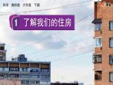 教科版科学六年级下册 1.1 了解我们的住房 课件+视频
