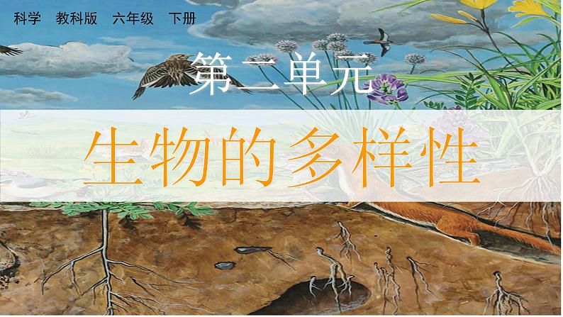 教科版科学六年级下册 2.1 校园生物大搜索 课件+视频01