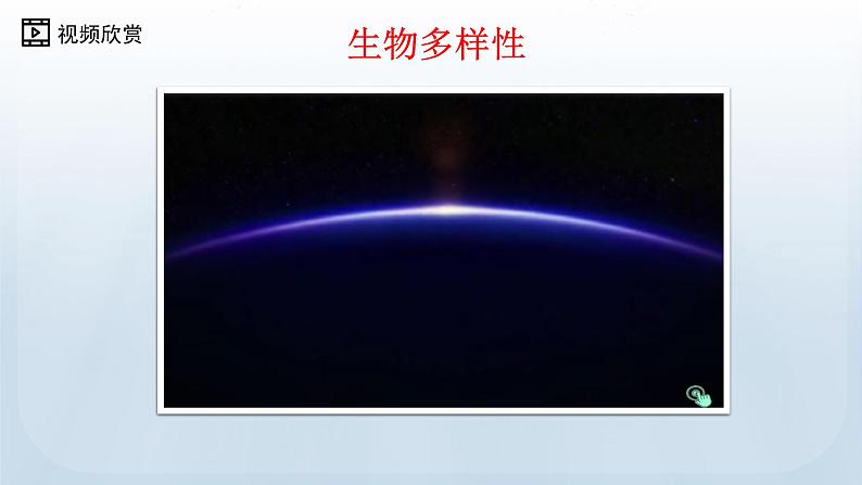 教科版科学六年级下册 2.1 校园生物大搜索 课件+视频07