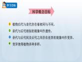 教科版科学六年级下册 2.3 形形色色的植物 课件+视频
