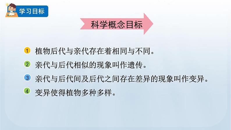 教科版科学六年级下册 2.3 形形色色的植物 课件+视频02