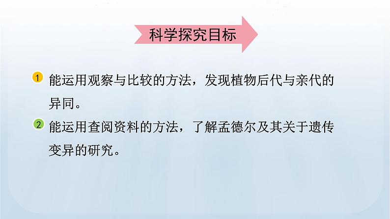 教科版科学六年级下册 2.3 形形色色的植物 课件+视频03