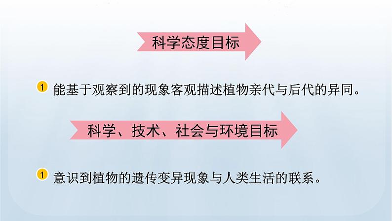 教科版科学六年级下册 2.3 形形色色的植物 课件+视频04