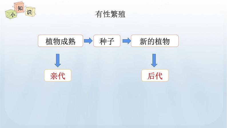 教科版科学六年级下册 2.3 形形色色的植物 课件+视频07