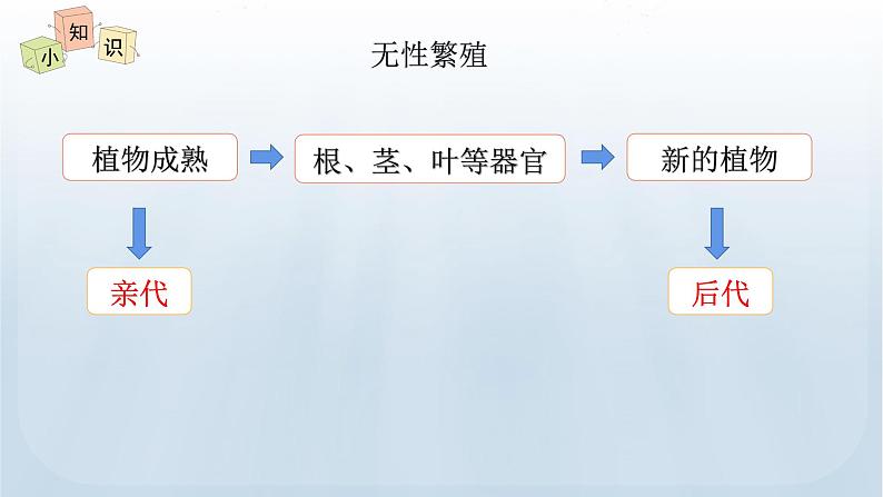 教科版科学六年级下册 2.3 形形色色的植物 课件+视频08