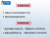 教科版科学六年级下册 2.4 多种多样的动物 课件+视频