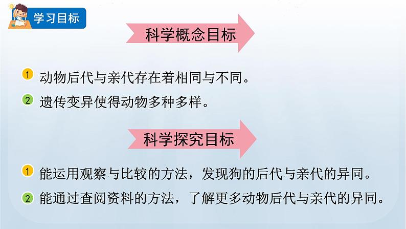 教科版科学六年级下册 2.4 多种多样的动物 课件+视频02