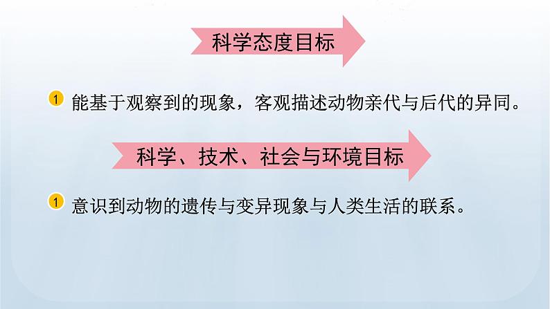 教科版科学六年级下册 2.4 多种多样的动物 课件+视频03