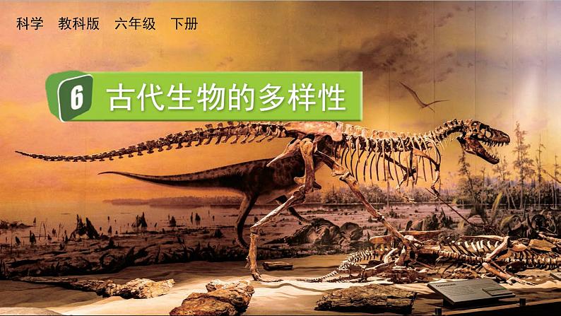 教科版科学六年级下册 2.6 古代生物的多样性 课件+视频01