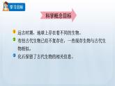 教科版科学六年级下册 2.6 古代生物的多样性 课件+视频