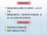 教科版科学六年级下册 2.6 古代生物的多样性 课件+视频