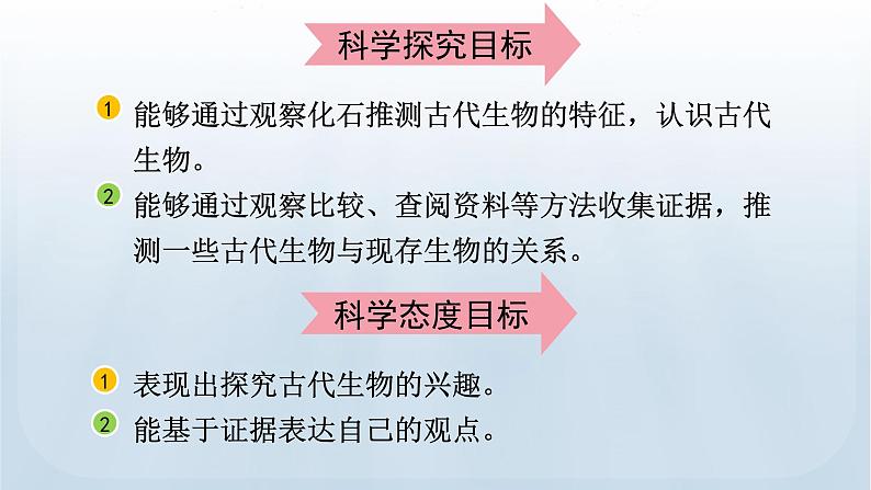 教科版科学六年级下册 2.6 古代生物的多样性 课件+视频03