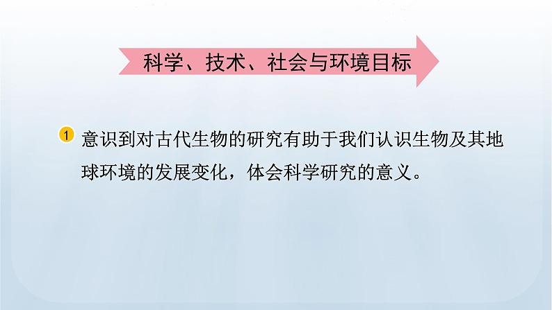 教科版科学六年级下册 2.6 古代生物的多样性 课件+视频04