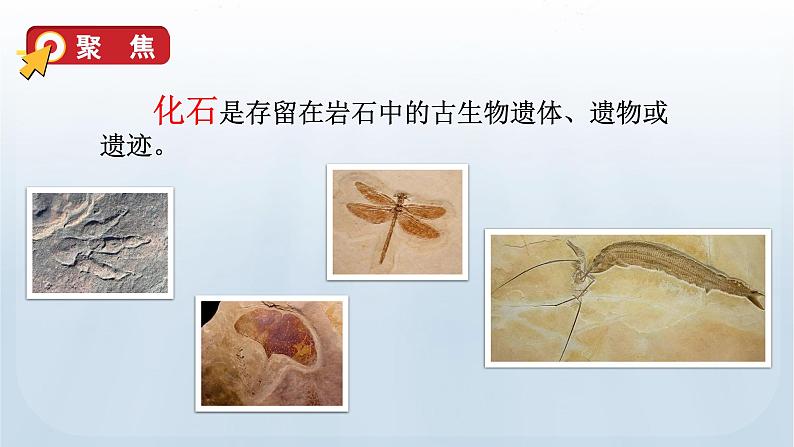 教科版科学六年级下册 2.6 古代生物的多样性 课件+视频05