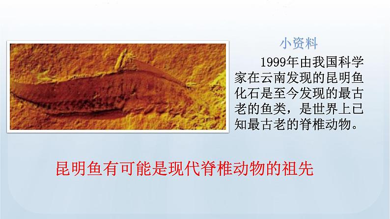 教科版科学六年级下册 2.6 古代生物的多样性 课件+视频08