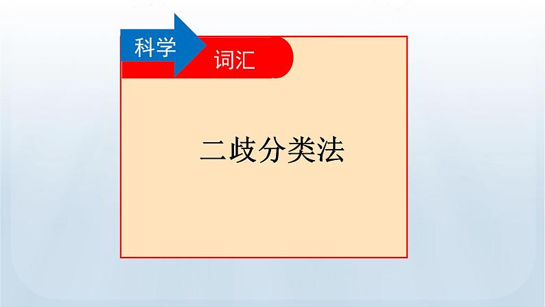 教科版科学六年级下册 2.2 制作校园生物分布图 课件08