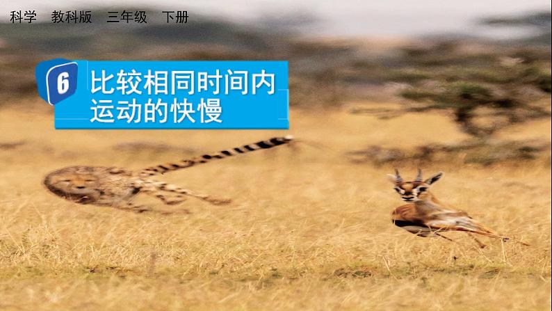 教科版科学三年级下册 1.6 比较相同时间内运动的快慢 课件第1页