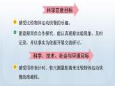 教科版科学三年级下册 1.6 比较相同时间内运动的快慢 课件+视频