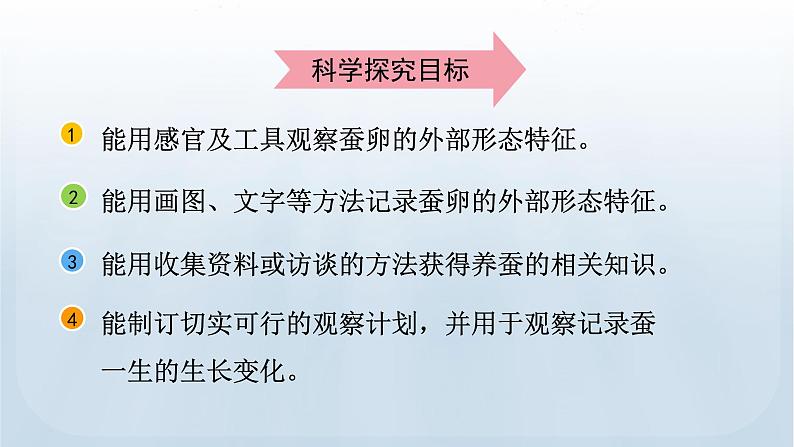 教科版科学三年级下册 2.1 迎接蚕宝宝的到来 课件+视频06