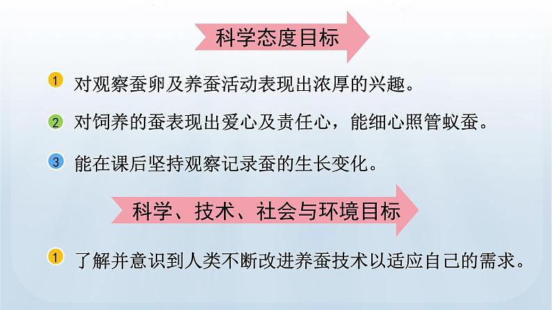 教科版科学三年级下册 2.1 迎接蚕宝宝的到来 课件+视频07