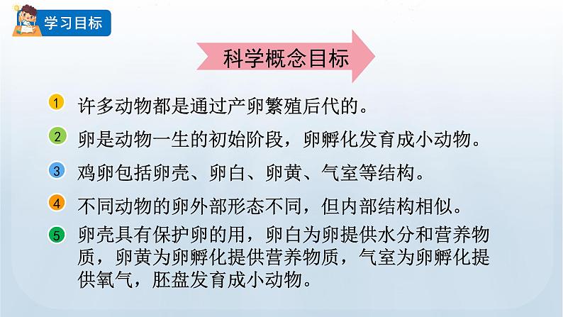 教科版科学三年级下册 2.2 认识其他动物的卵 课件+视频02