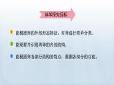 教科版科学三年级下册 2.2 认识其他动物的卵 课件+视频