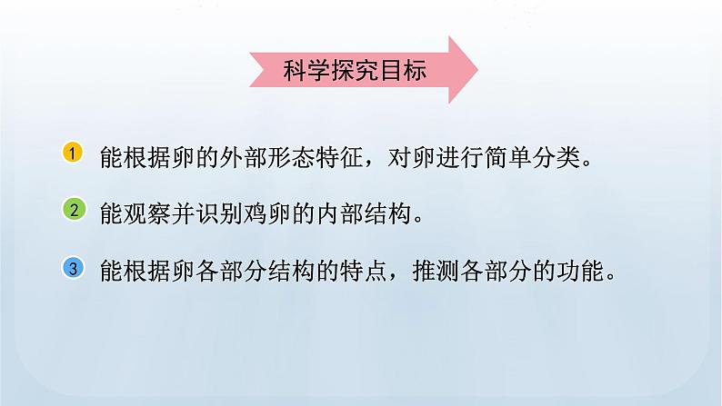 教科版科学三年级下册 2.2 认识其他动物的卵 课件+视频03