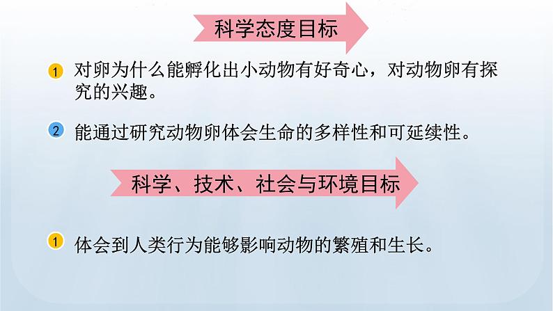 教科版科学三年级下册 2.2 认识其他动物的卵 课件+视频04