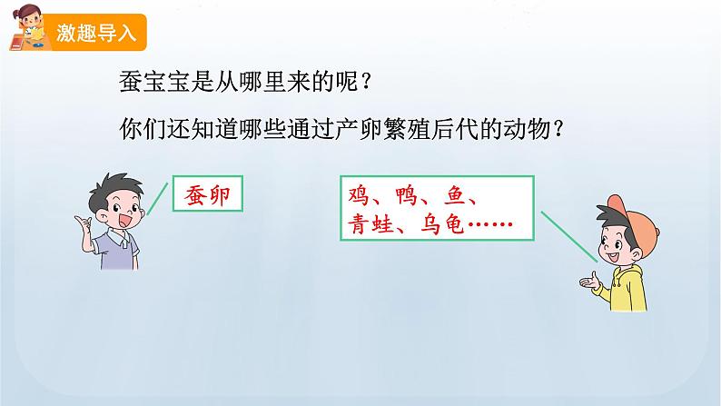 教科版科学三年级下册 2.2 认识其他动物的卵 课件+视频05