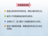 教科版科學三年級下冊 2.3 蠶長大了 課件+視頻
